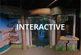 Interactive Exhibits